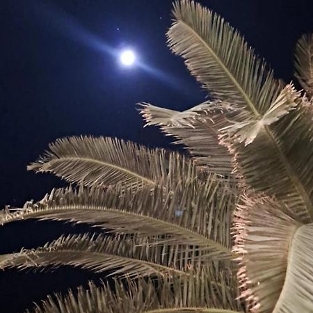 Apartments Jovana Petrovac المظهر الخارجي الصورة