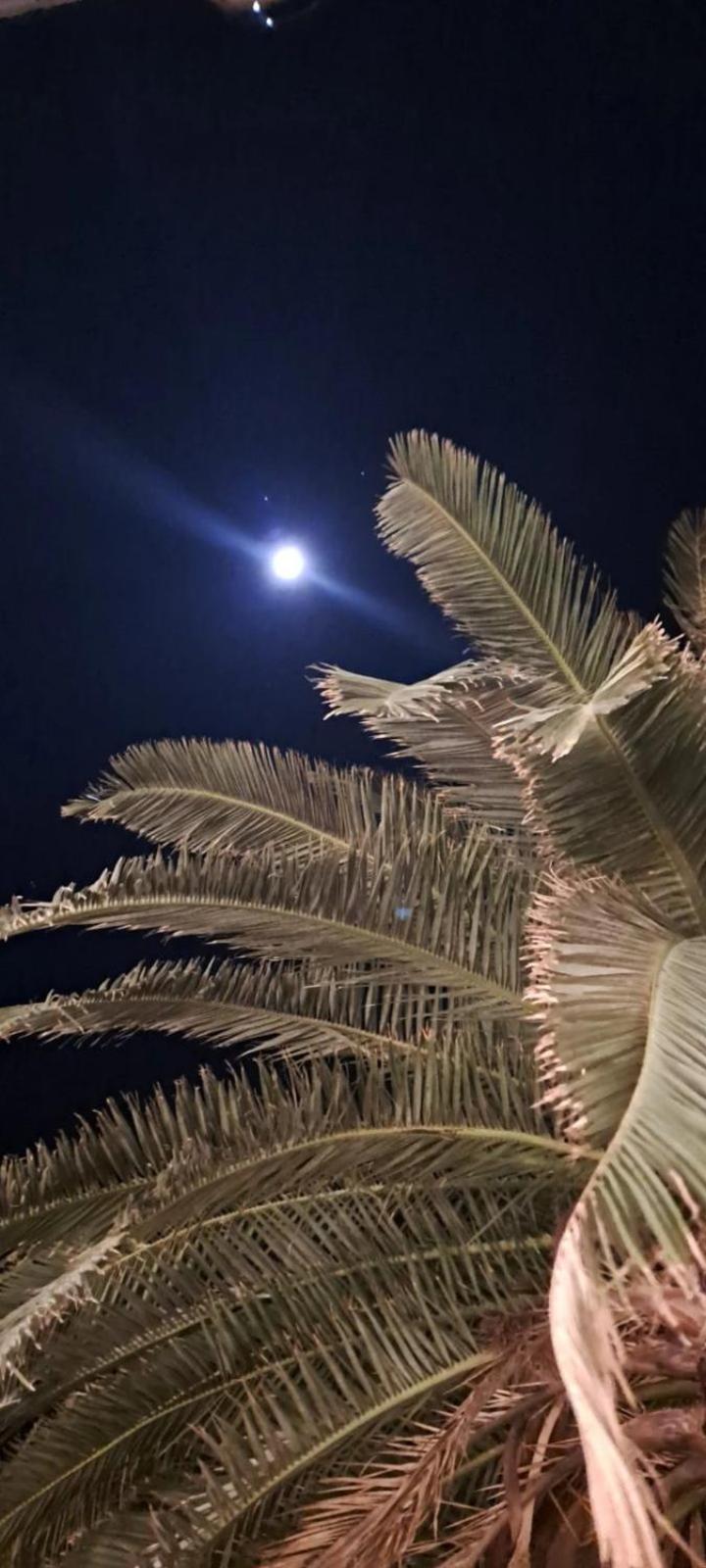 Apartments Jovana Petrovac المظهر الخارجي الصورة