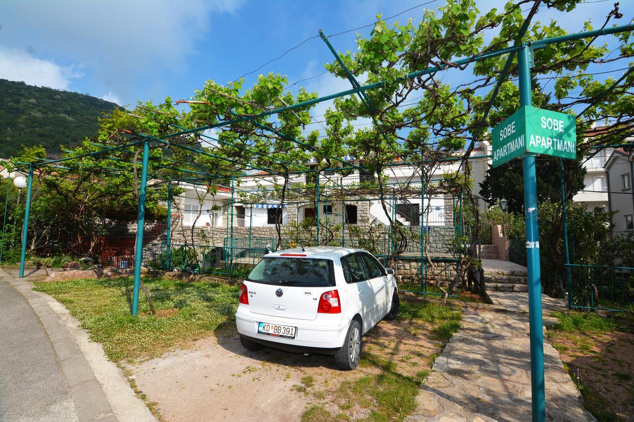 Apartments Jovana Petrovac المظهر الخارجي الصورة